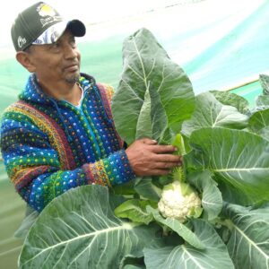De la Gestión Pública al Campo: Creación y Gestión de Huertas Comunitarias Sostenibles